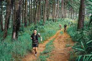 BIB: 
                            <button type="button" onclick="openModal(25712587)" class="btn btn-primary btn-sm float-right btn-popup" data-toggle="modal" data-target=".modal-high-quality">
                        <i class="fas fa-shopping-cart"></i> Add to Cart
                    </button>
                                            <button type="button" onclick="isThisMe(25712587, true)" class="btn btn-success btn-sm float-right btn-popup btn-isme hidden" data-toggle="tooltip" data-placement="bottom" title="นี่คือรูปของคุณใช่ไหม คลิกที่นี่เพื่อเอาเข้าอัลบั้ม">
                        <i class="fas fa-plus"></i> Add to album
                    </button>
                    <button type="button" onclick="isThisMe(25712587, false)" class="btn btn-warning btn-sm float-right btn-popup btn-isnotme hidden">
                        <i class="fas fa-ban"></i> Remove from album
                    </button>